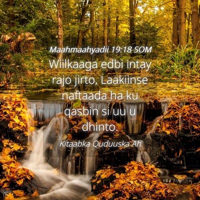 Picture 04 - Maahmaahyadii 19:18 SOM - Wiilkaaga edbi intay rajo jirto, Laakiinse - Bible Verse Picture