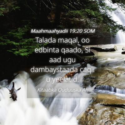 Picture 04 - Maahmaahyadii 19:20 SOM - Talada maqal, oo edbinta qaado, Si aad ugu - Bible Verse Picture