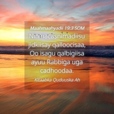 Picture 04 - Maahmaahyadii 19:3 SOM - Nin nacasnimadiisu jidkiisay qalloocisaa, Oo - Bible Verse Picture