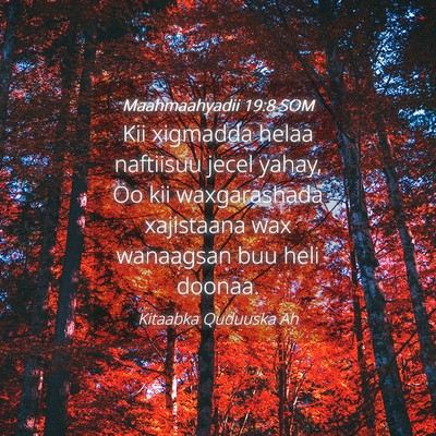 Picture 04 - Maahmaahyadii 19:8 SOM - Kii xigmadda helaa naftiisuu jecel yahay, Oo kii - Bible Verse Picture
