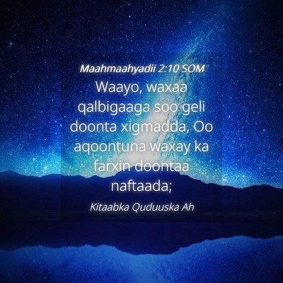 Picture 04 - Maahmaahyadii 2:10 SOM - Waayo, waxaa qalbigaaga soo geli doonta xigmadda, - Bible Verse Picture