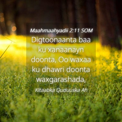 Picture 04 - Maahmaahyadii 2:11 SOM - Digtoonaanta baa ku xanaanayn doonta, Oo waxaa ku - Bible Verse Picture