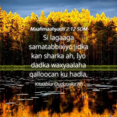 Picture 04 - Maahmaahyadii 2:12 SOM - Si lagaaga samatabbixiyo jidka kan sharka ah, Iyo - Bible Verse Picture
