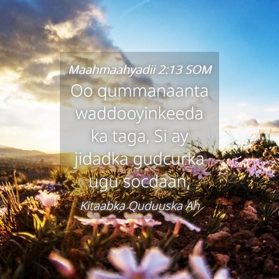 Picture 04 - Maahmaahyadii 2:13 SOM - Oo qummanaanta waddooyinkeeda ka taga, Si ay - Bible Verse Picture