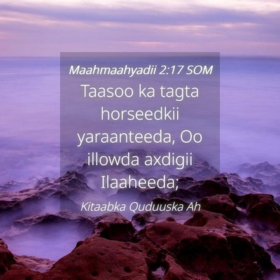 Picture 04 - Maahmaahyadii 2:17 SOM - Taasoo ka tagta horseedkii yaraanteeda, Oo - Bible Verse Picture