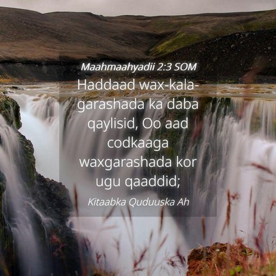 Picture 04 - Maahmaahyadii 2:3 SOM - Haddaad wax-kala-garashada ka daba qaylisid, Oo - Bible Verse Picture