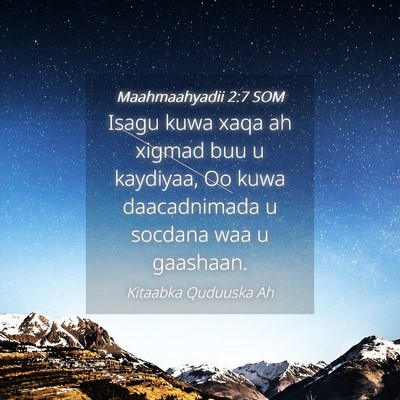 Picture 04 - Maahmaahyadii 2:7 SOM - Isagu kuwa xaqa ah xigmad buu u kaydiyaa, Oo kuwa - Bible Verse Picture
