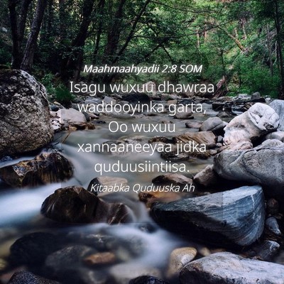 Picture 04 - Maahmaahyadii 2:8 SOM - Isagu wuxuu dhawraa waddooyinka garta, Oo wuxuu - Bible Verse Picture