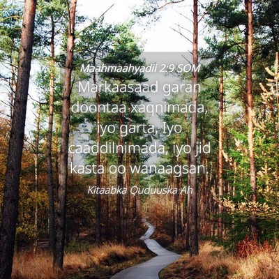 Picture 04 - Maahmaahyadii 2:9 SOM - Markaasaad garan doontaa xaqnimada, iyo garta, - Bible Verse Picture