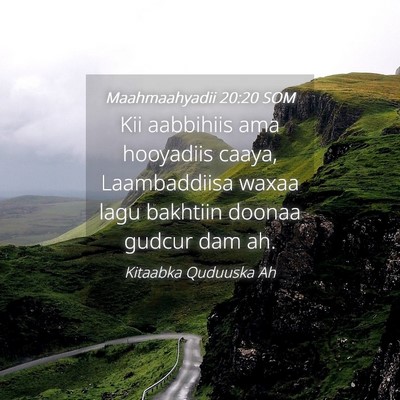 Picture 04 - Maahmaahyadii 20:20 SOM - Kii aabbihiis ama hooyadiis caaya, Laambaddiisa - Bible Verse Picture