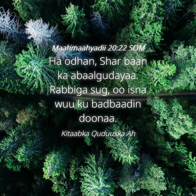 Picture 04 - Maahmaahyadii 20:22 SOM - Ha odhan, Shar baan ka abaalgudayaa. Rabbiga sug, - Bible Verse Picture