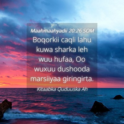 Picture 04 - Maahmaahyadii 20:26 SOM - Boqorkii caqli lahu kuwa sharka leh wuu hufaa, Oo - Bible Verse Picture