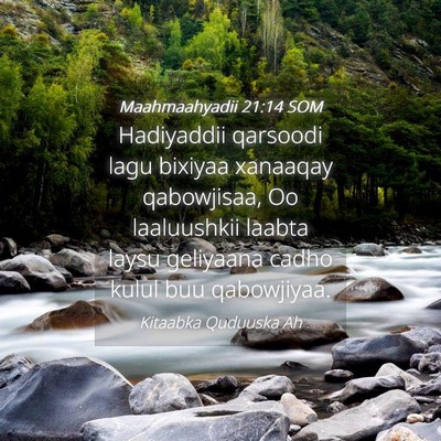 Picture 04 - Maahmaahyadii 21:14 SOM - Hadiyaddii qarsoodi lagu bixiyaa xanaaqay - Bible Verse Picture