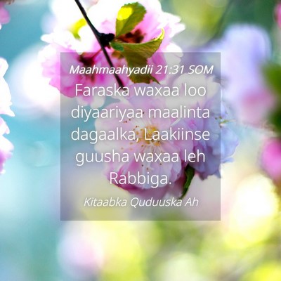 Picture 04 - Maahmaahyadii 21:31 SOM - Faraska waxaa loo diyaariyaa maalinta dagaalka, - Bible Verse Picture