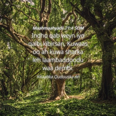 Picture 04 - Maahmaahyadii 21:4 SOM - Indho qab weyn iyo qalbi kibirsan, Kuwaas oo ah - Bible Verse Picture