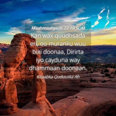 Picture 04 - Maahmaahyadii 22:10 SOM - Kan wax quudhsada eri, oo muranku wuu bixi - Bible Verse Picture