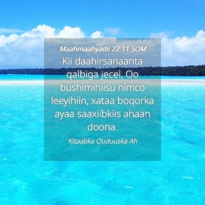 Picture 04 - Maahmaahyadii 22:11 SOM - Kii daahirsanaanta qalbiga jecel, Oo bushimihiisu - Bible Verse Picture