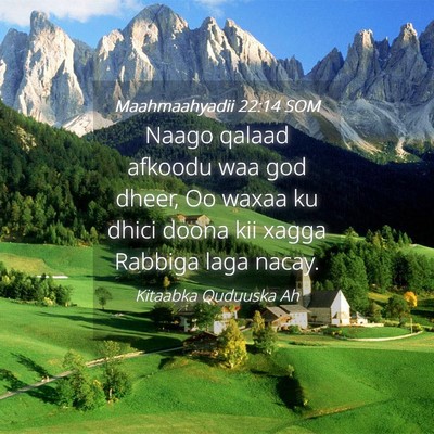 Picture 04 - Maahmaahyadii 22:14 SOM - Naago qalaad afkoodu waa god dheer, Oo waxaa ku - Bible Verse Picture