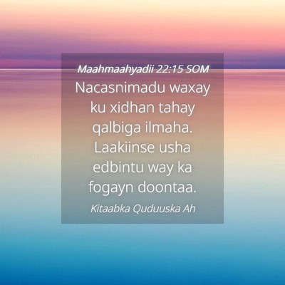 Picture 04 - Maahmaahyadii 22:15 SOM - Nacasnimadu waxay ku xidhan tahay qalbiga ilmaha. - Bible Verse Picture
