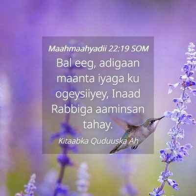Picture 04 - Maahmaahyadii 22:19 SOM - Bal eeg, adigaan maanta iyaga ku ogeysiiyey, - Bible Verse Picture