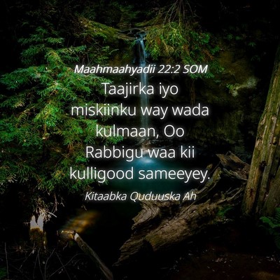 Picture 04 - Maahmaahyadii 22:2 SOM - Taajirka iyo miskiinku way wada kulmaan, Oo - Bible Verse Picture