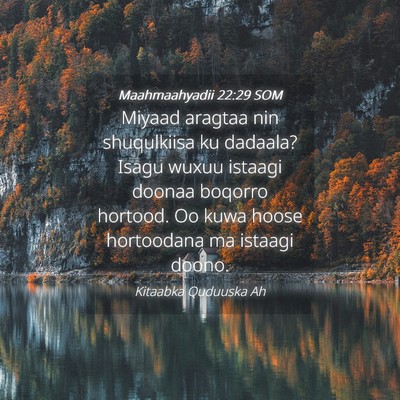Picture 04 - Maahmaahyadii 22:29 SOM - Miyaad aragtaa nin shuqulkiisa ku dadaala? Isagu - Bible Verse Picture