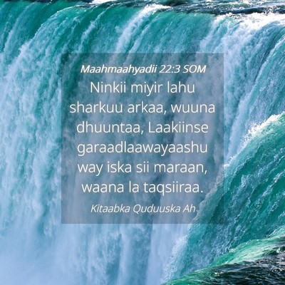 Picture 04 - Maahmaahyadii 22:3 SOM - Ninkii miyir lahu sharkuu arkaa, wuuna dhuuntaa, - Bible Verse Picture