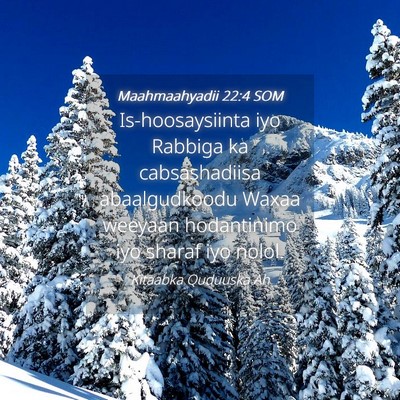 Picture 04 - Maahmaahyadii 22:4 SOM - Is-hoosaysiinta iyo Rabbiga ka cabsashadiisa - Bible Verse Picture