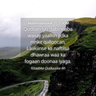 Picture 04 - Maahmaahyadii 22:5 SOM - Qodxan iyo dabinnaba waxay yaalliin jidka ninka - Bible Verse Picture