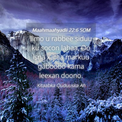 Picture 04 - Maahmaahyadii 22:6 SOM - Ilmo u rabbee siduu ku socon lahaa, Oo isna xataa - Bible Verse Picture