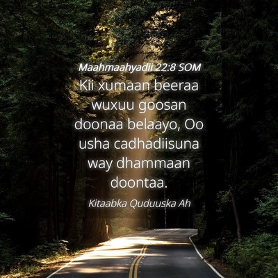 Picture 04 - Maahmaahyadii 22:8 SOM - Kii xumaan beeraa wuxuu goosan doonaa belaayo, Oo - Bible Verse Picture