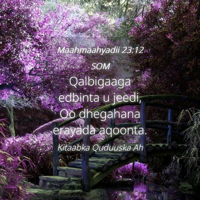 Picture 04 - Maahmaahyadii 23:12 SOM - Qalbigaaga edbinta u jeedi, Oo dhegahana erayada - Bible Verse Picture