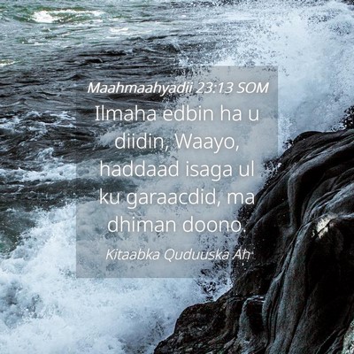 Picture 04 - Maahmaahyadii 23:13 SOM - Ilmaha edbin ha u diidin, Waayo, haddaad isaga ul - Bible Verse Picture