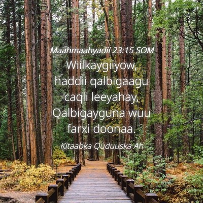 Picture 04 - Maahmaahyadii 23:15 SOM - Wiilkaygiiyow, haddii qalbigaagu caqli leeyahay, - Bible Verse Picture