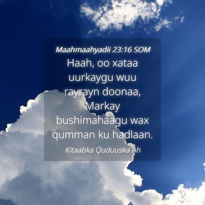 Picture 04 - Maahmaahyadii 23:16 SOM - Haah, oo xataa uurkaygu wuu rayrayn doonaa, - Bible Verse Picture