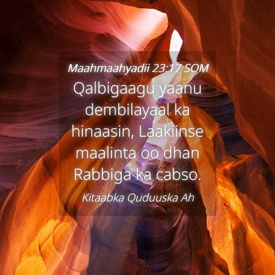 Picture 04 - Maahmaahyadii 23:17 SOM - Qalbigaagu yaanu dembilayaal ka hinaasin, - Bible Verse Picture
