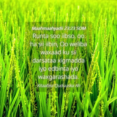 Picture 04 - Maahmaahyadii 23:23 SOM - Runta soo iibso, oo ha sii iibin, Oo weliba - Bible Verse Picture