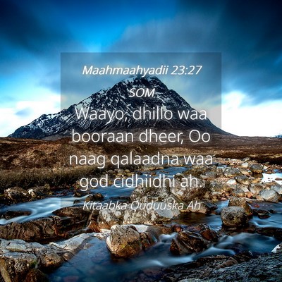 Picture 04 - Maahmaahyadii 23:27 SOM - Waayo, dhillo waa booraan dheer, Oo naag qalaadna - Bible Verse Picture