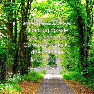 Picture 04 - Maahmaahyadii 23:28 SOM - Sida tuug oo kale ayay u gabbataa, Oo waxay dadka - Bible Verse Picture