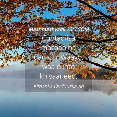 Picture 04 - Maahmaahyadii 23:3 SOM - Cuntadiisa macaan ha damcin, Waayo, waa cunto - Bible Verse Picture