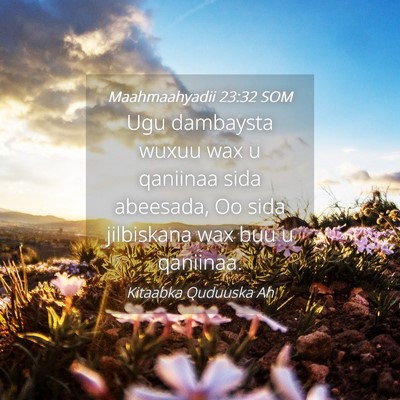 Picture 04 - Maahmaahyadii 23:32 SOM - Ugu dambaysta wuxuu wax u qaniinaa sida abeesada, - Bible Verse Picture
