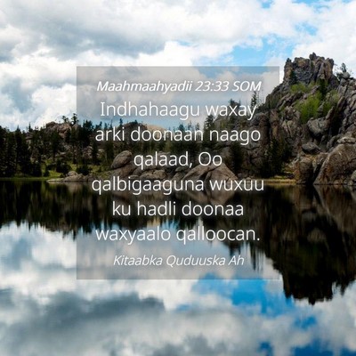 Picture 04 - Maahmaahyadii 23:33 SOM - Indhahaagu waxay arki doonaan naago qalaad, Oo - Bible Verse Picture