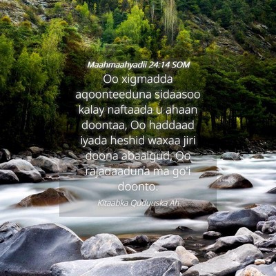 Picture 04 - Maahmaahyadii 24:14 SOM - Oo xigmadda aqoonteeduna sidaasoo kalay naftaada - Bible Verse Picture