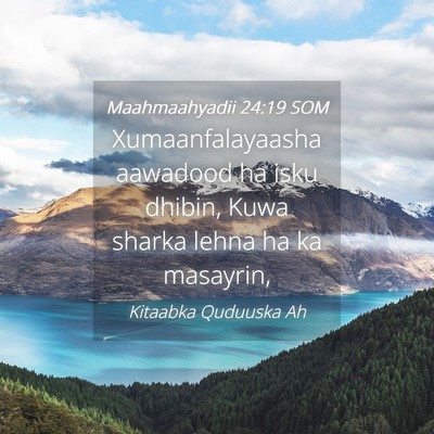 Picture 04 - Maahmaahyadii 24:19 SOM - Xumaanfalayaasha aawadood ha isku dhibin, Kuwa - Bible Verse Picture