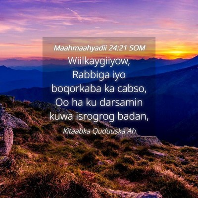 Picture 04 - Maahmaahyadii 24:21 SOM - Wiilkaygiiyow, Rabbiga iyo boqorkaba ka cabso, Oo - Bible Verse Picture