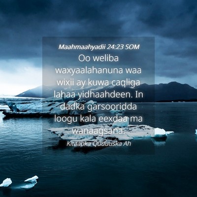 Picture 04 - Maahmaahyadii 24:23 SOM - Oo weliba waxyaalahanuna waa wixii ay kuwa - Bible Verse Picture