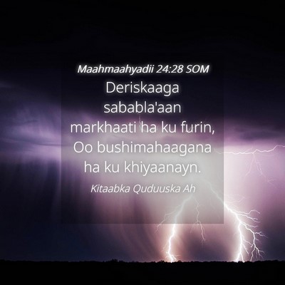 Picture 04 - Maahmaahyadii 24:28 SOM - Deriskaaga sababla'aan markhaati ha ku furin, Oo - Bible Verse Picture