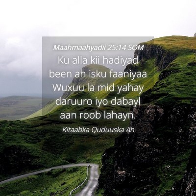 Picture 04 - Maahmaahyadii 25:14 SOM - Ku alla kii hadiyad been ah isku faaniyaa Wuxuu - Bible Verse Picture