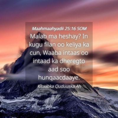 Picture 04 - Maahmaahyadii 25:16 SOM - Malab ma heshay? In kugu filan oo keliya ka cun, - Bible Verse Picture