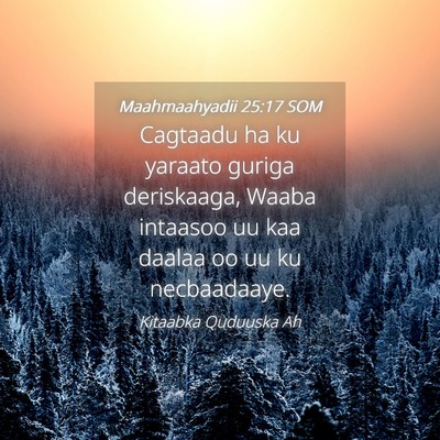 Picture 04 - Maahmaahyadii 25:17 SOM - Cagtaadu ha ku yaraato guriga deriskaaga, Waaba - Bible Verse Picture